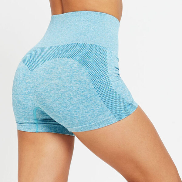 Ladies fitness shorts